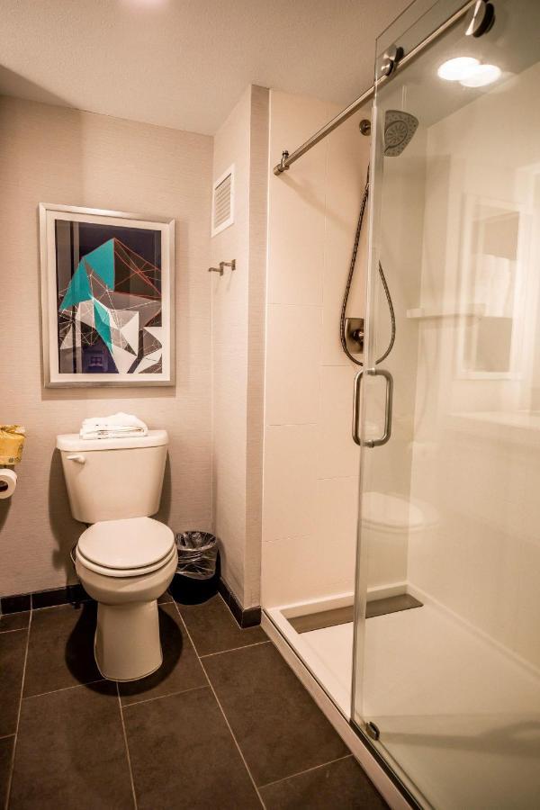 Standard King Room with Walk In Shower and City View,1027538398:JPEG