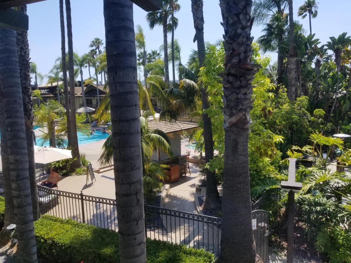 Tropical View King Room,1690937173:JPEG