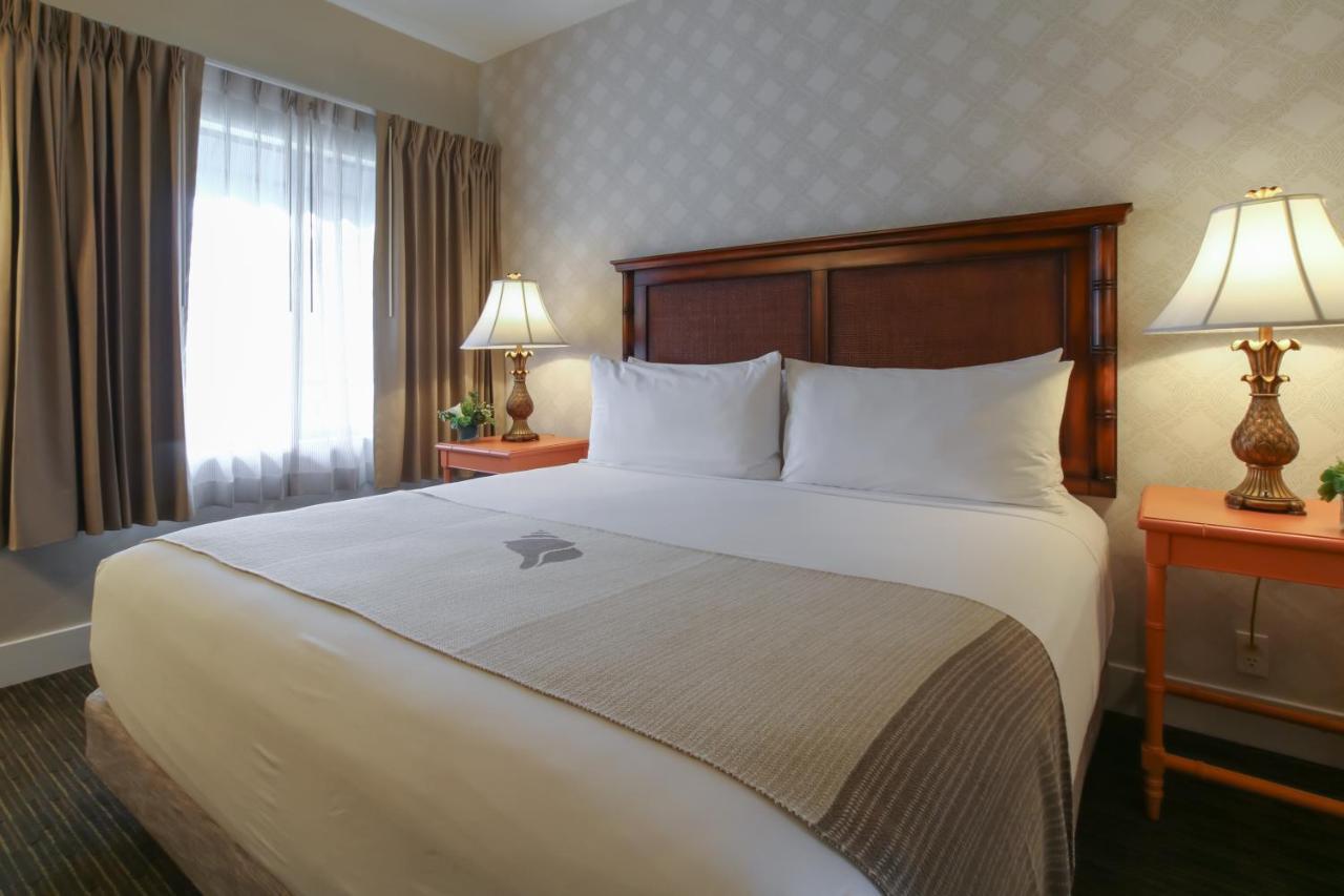 Top Floor Courtyard View King Suite Sleeper Sofa,1096010739:JPEG