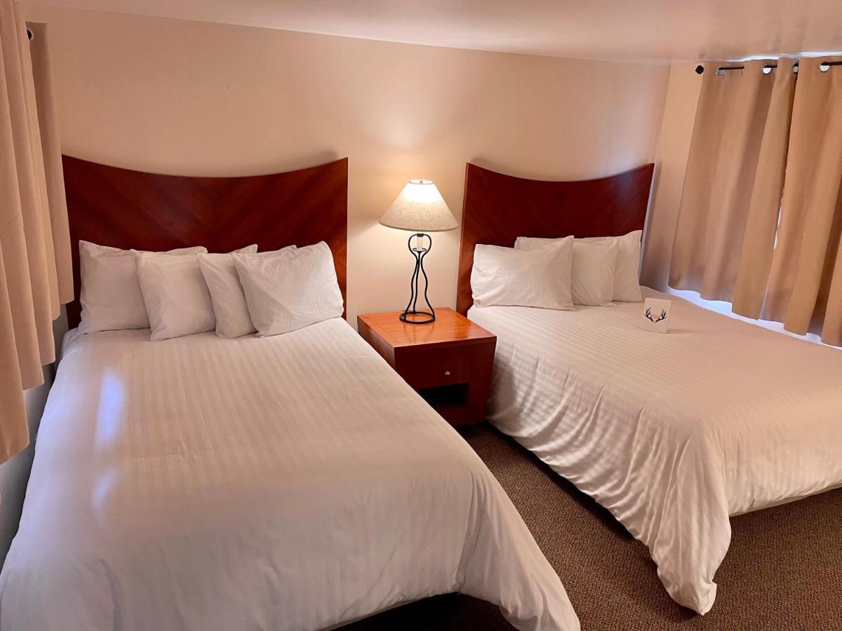 Standard Double Room,1112975520:JPEG