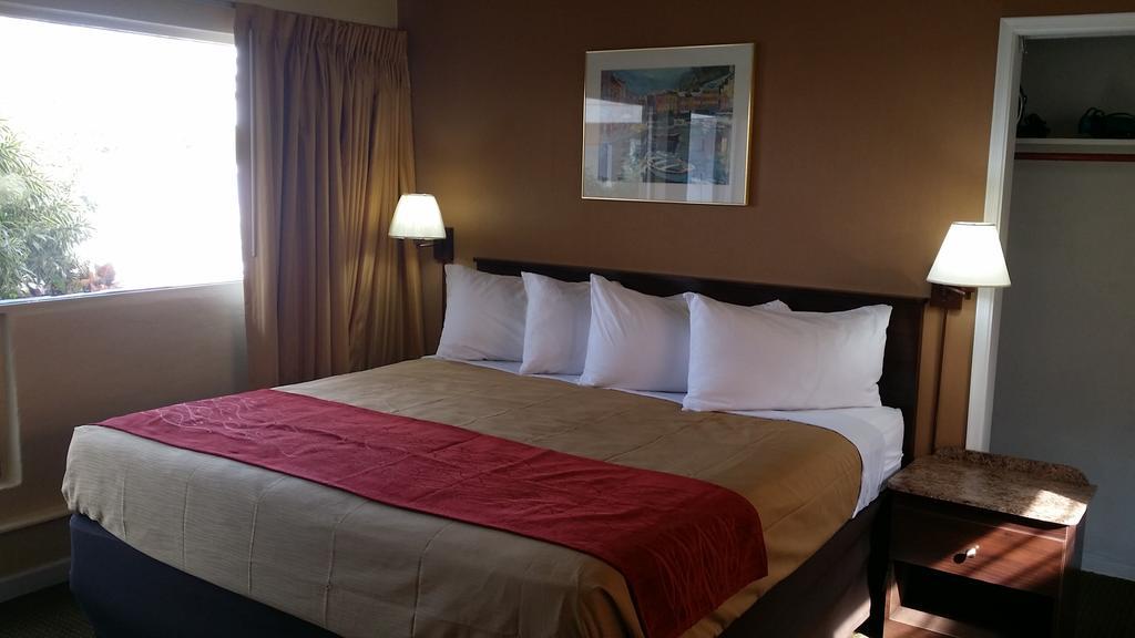 King Room - Non-Smoking,114485666:JPEG