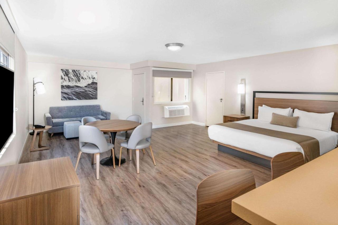 1 King Bed, Executive Suite, Sofa Bed, Kitchenette, Non-Smoking,1152886182:JPEG