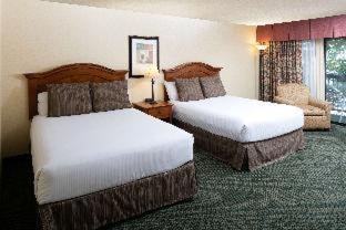 Standard Queen Room Two Queen Beds,703215865:JPEG