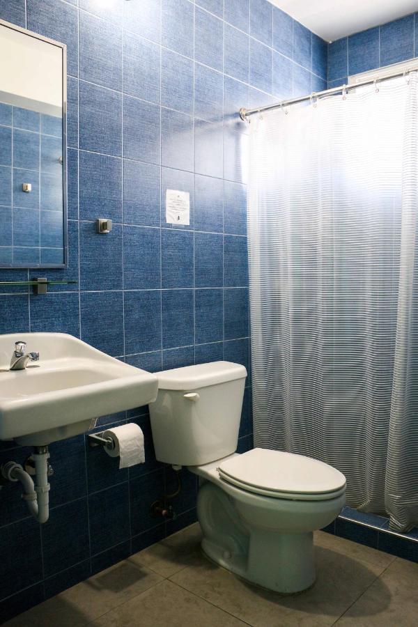 Bed in 6-Bed Female Dormitory Room,1161791370:JPEG