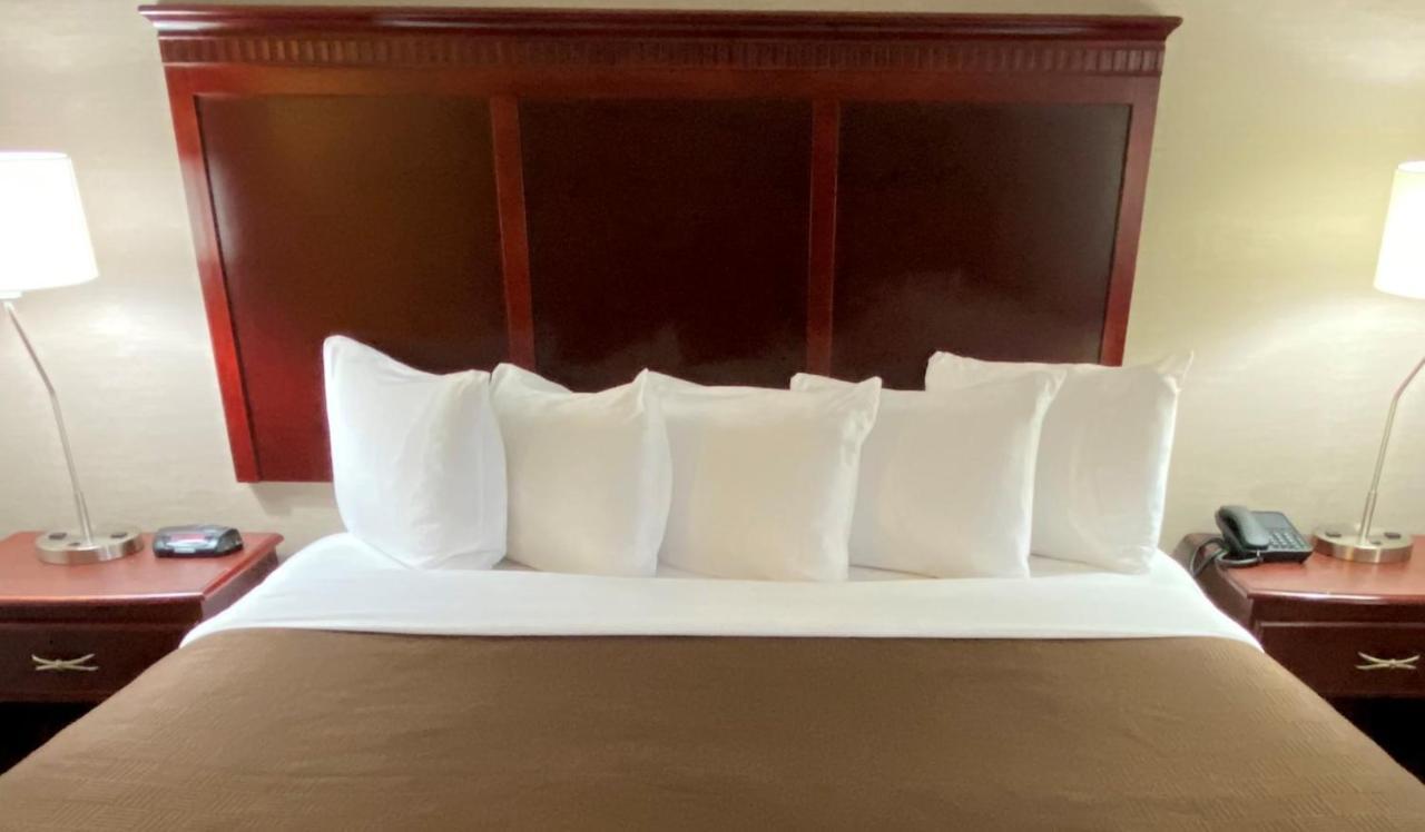 Efficiency King Suite - Non-Smoking,1365617756:JPEG