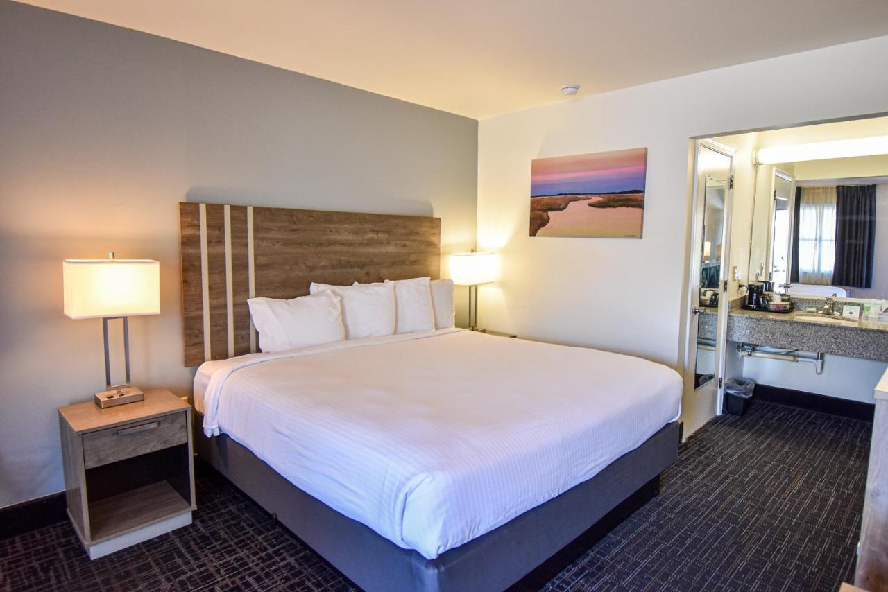 Standard King Room,1226267645:JPEG