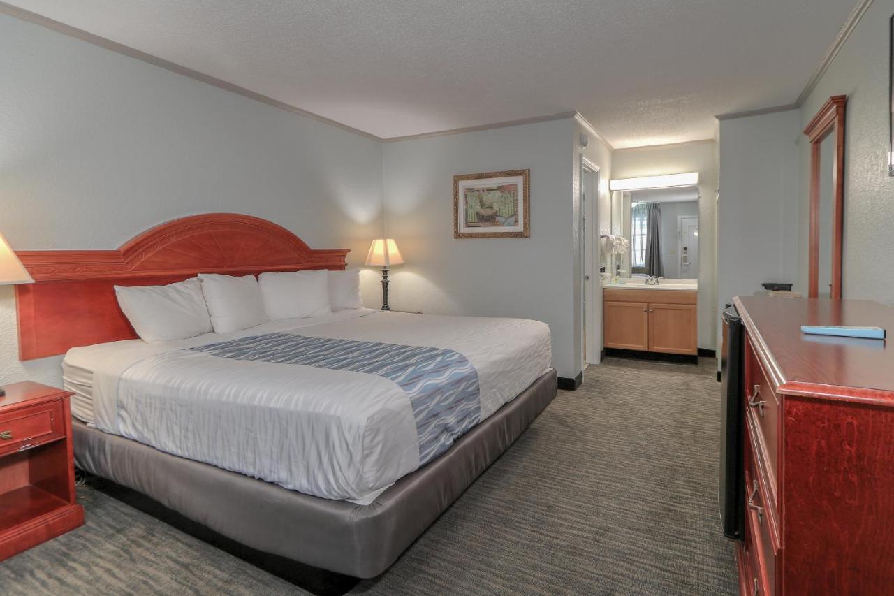 King Room,1269816598:JPEG