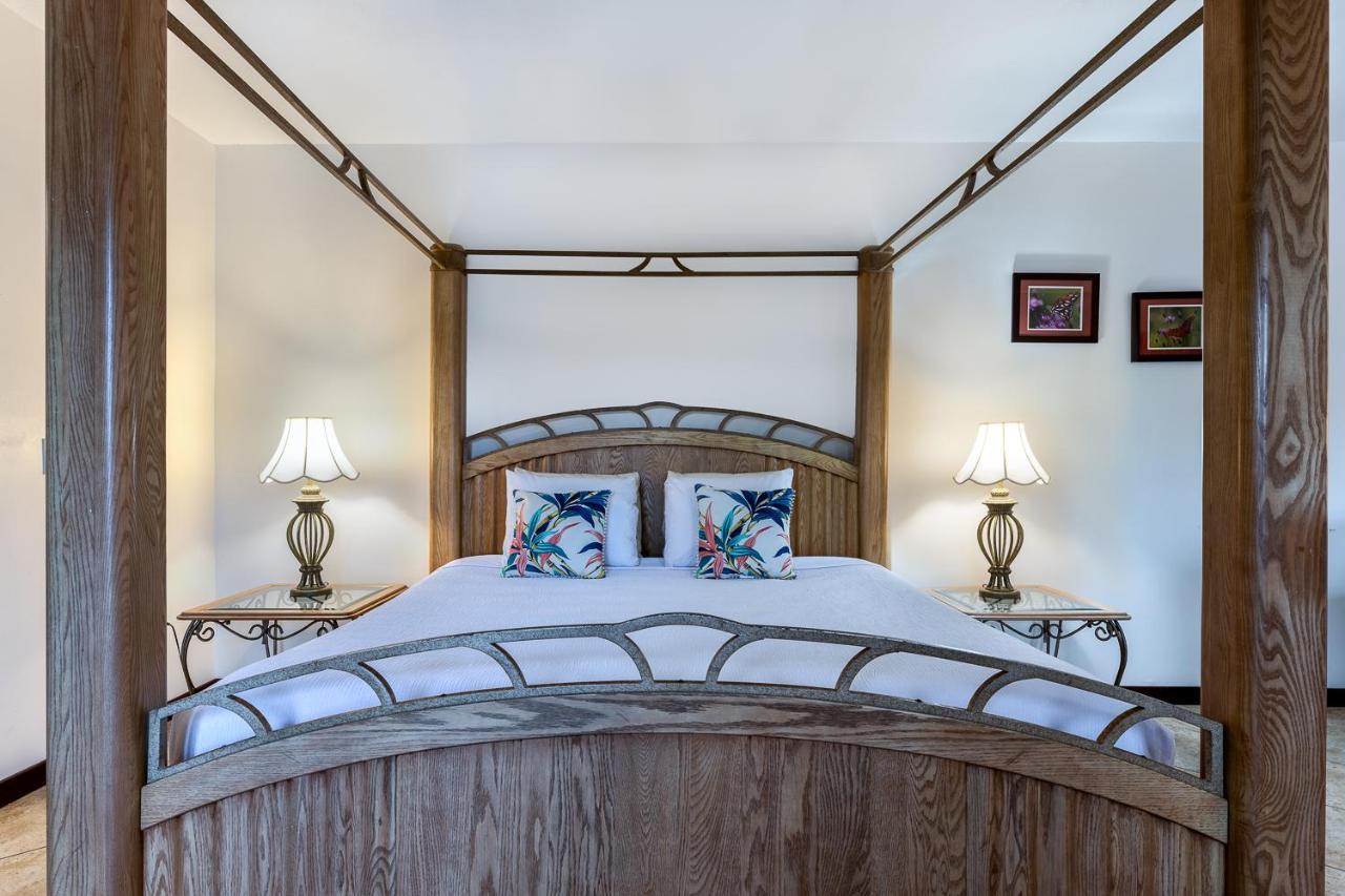 Superior King Room,1270644064:JPEG