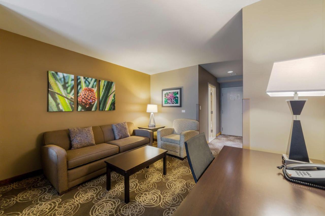 King Suite with Sofa Bed - Non-Smoking,1273317307:JPEG