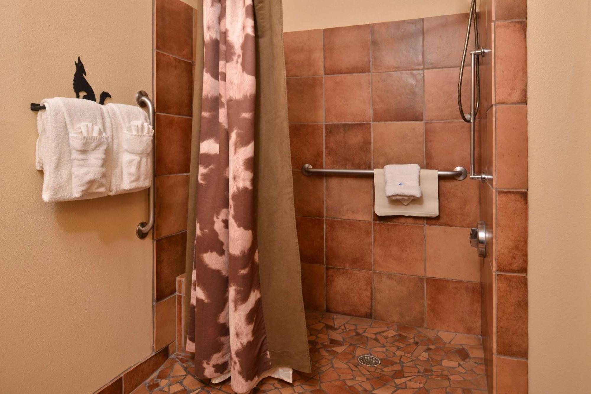 Queen Room with Roll-In Shower - Disability Access/Non-Smoking