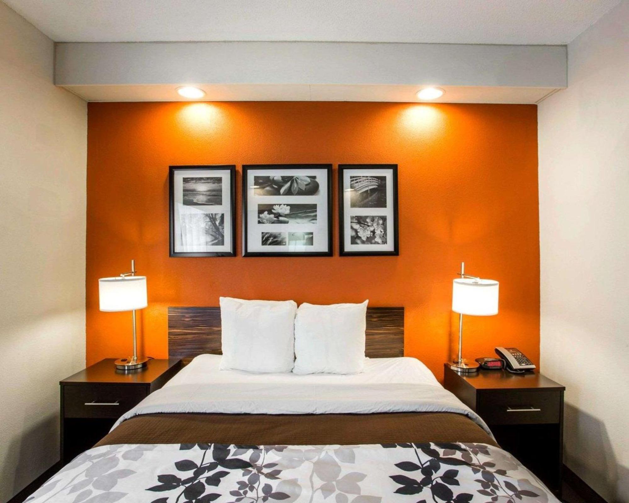 Queen Room - Disability Access/Non-Smoking,1282978246:JPEG