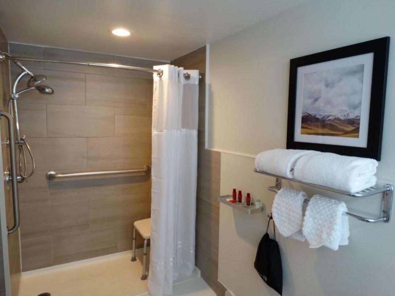 King Room Mobility Accessible Tub,1285368340:JPEG