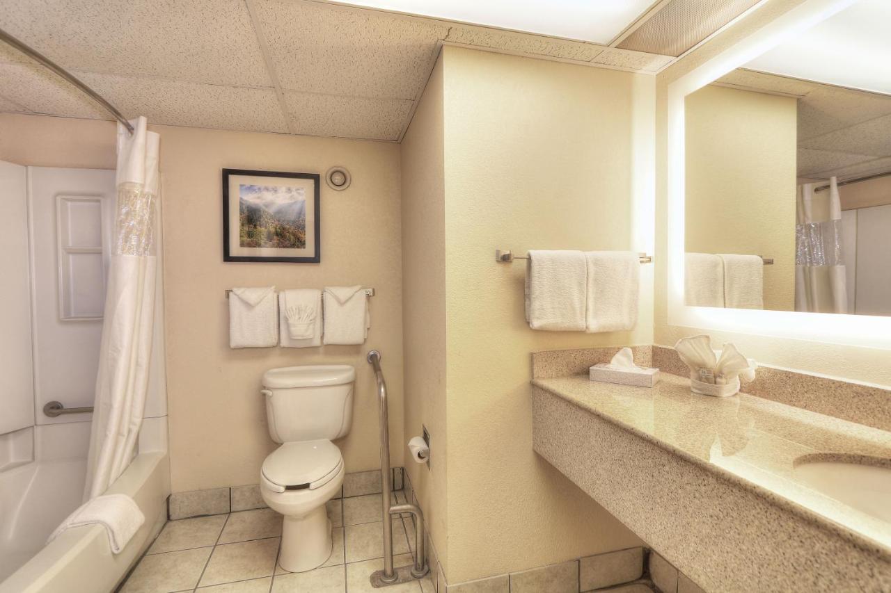 King Room - Disability Access,1710189347:JPEG