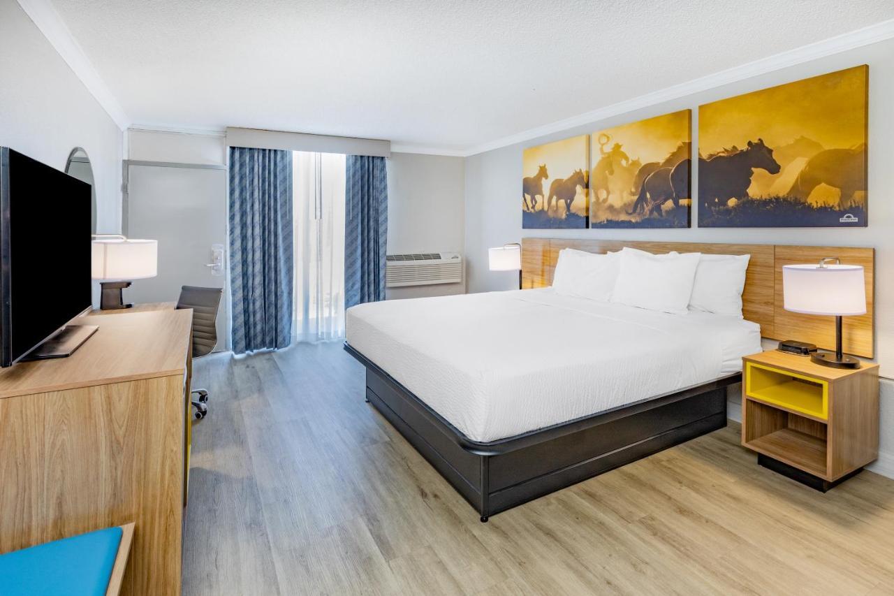 King Room - Disability Access,1328459891:JPEG