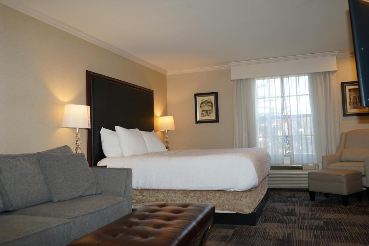 Superior King Studio Suite - Non-Smoking,1554407986:JPEG