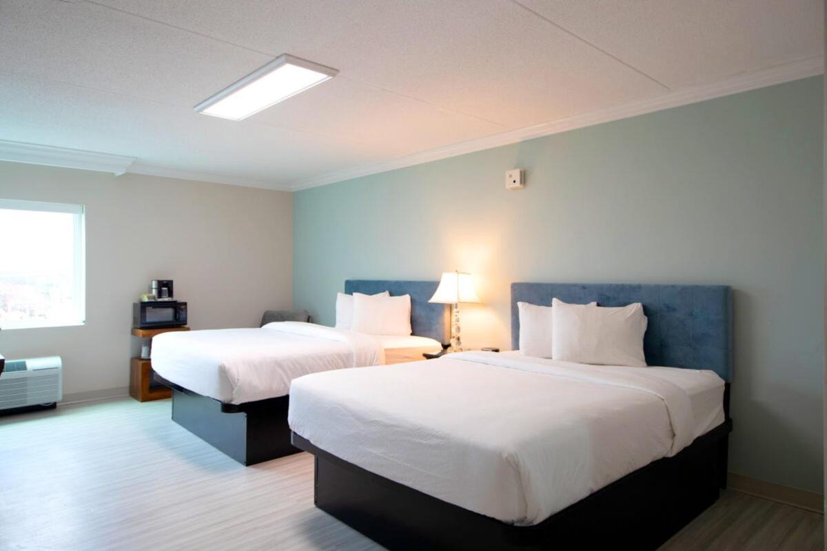 Double Room with Two Double Beds - Non-Smoking,1366168397:JPEG