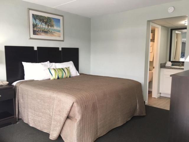 Non-Oceanfront King Room,1396682081:JPEG