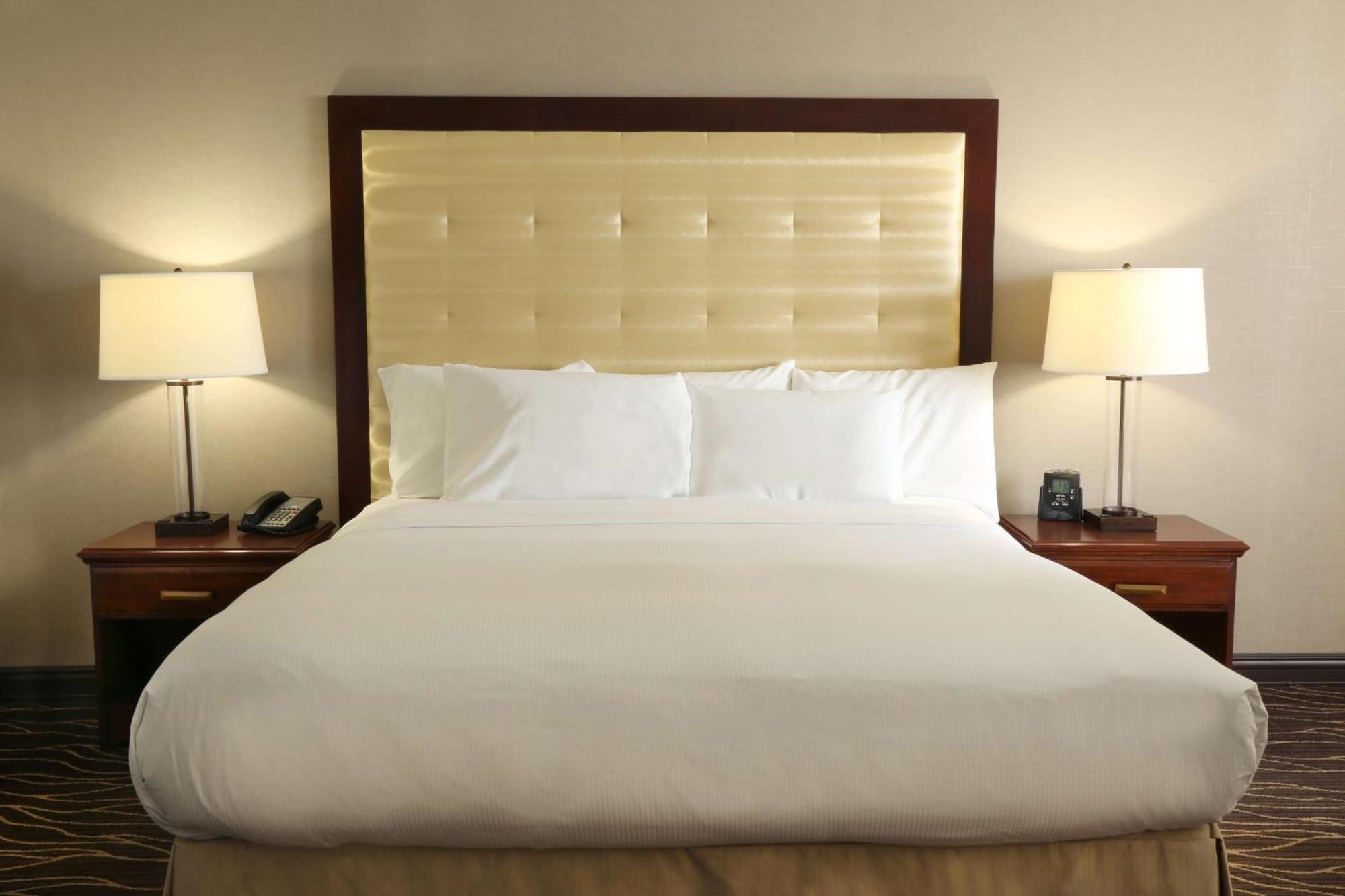 King Room,1552160395:JPEG