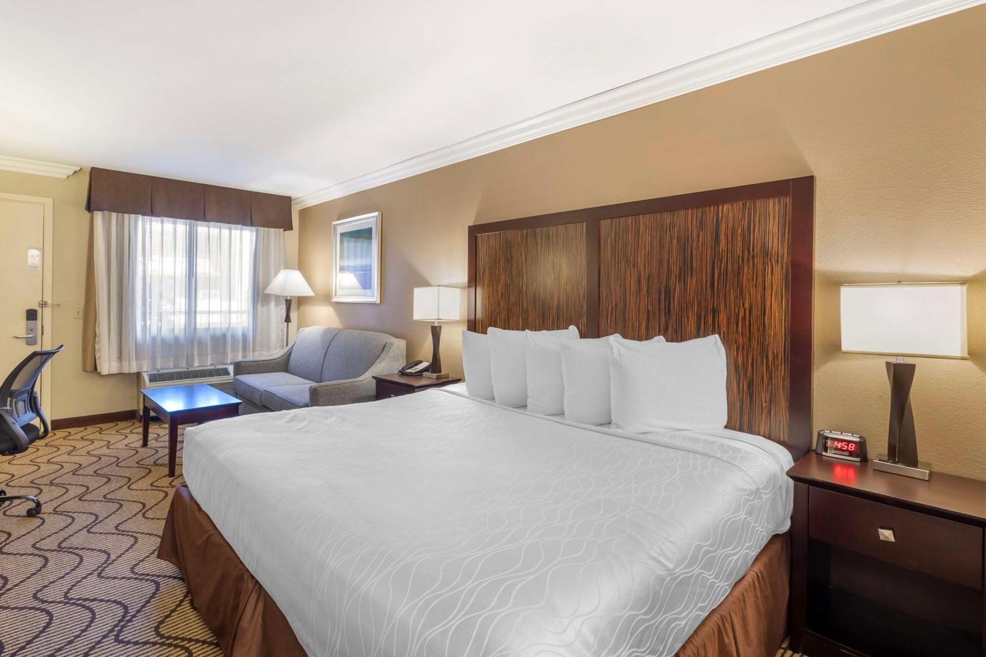 Executive King Room Sofa Bed,1602953851:JPEG