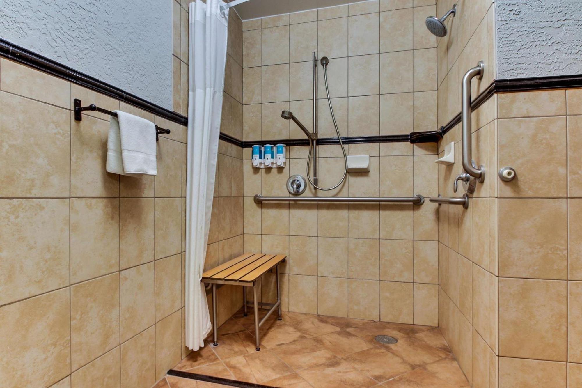 Deluxe King Room - Accessible, Roll-in Shower