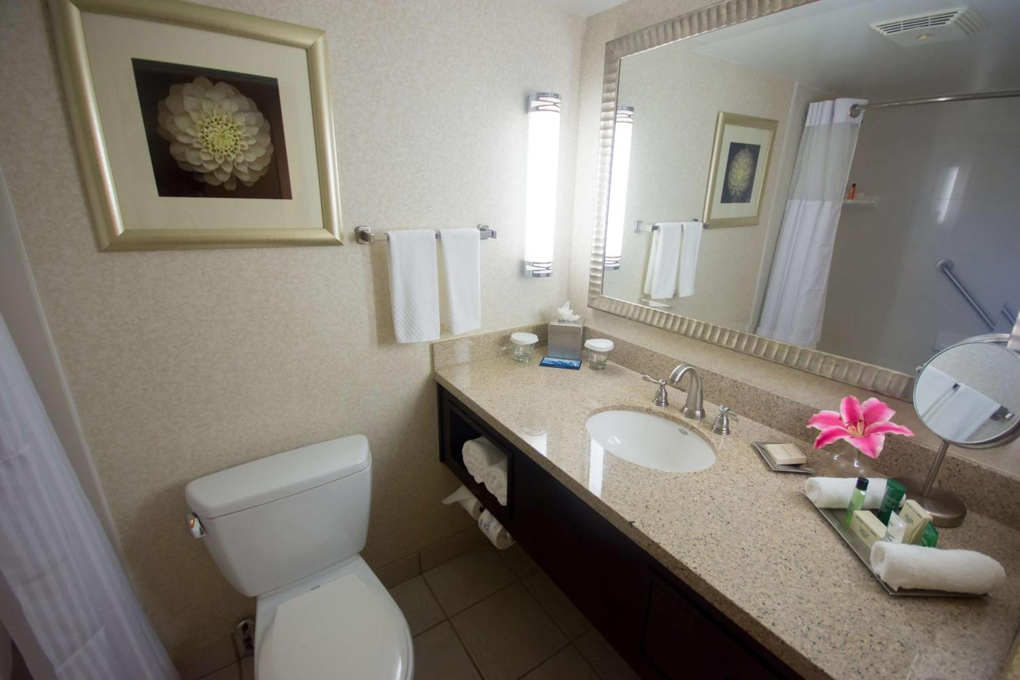 Executive One Bedroom Suite - Non-Smoking,1622020136:JPEG