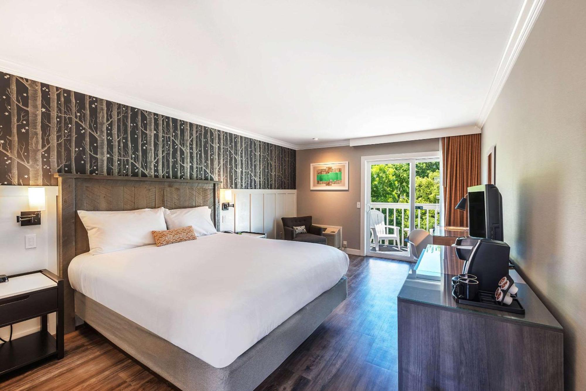 King Room with Patio - Non-Smoking,1698973086:JPEG