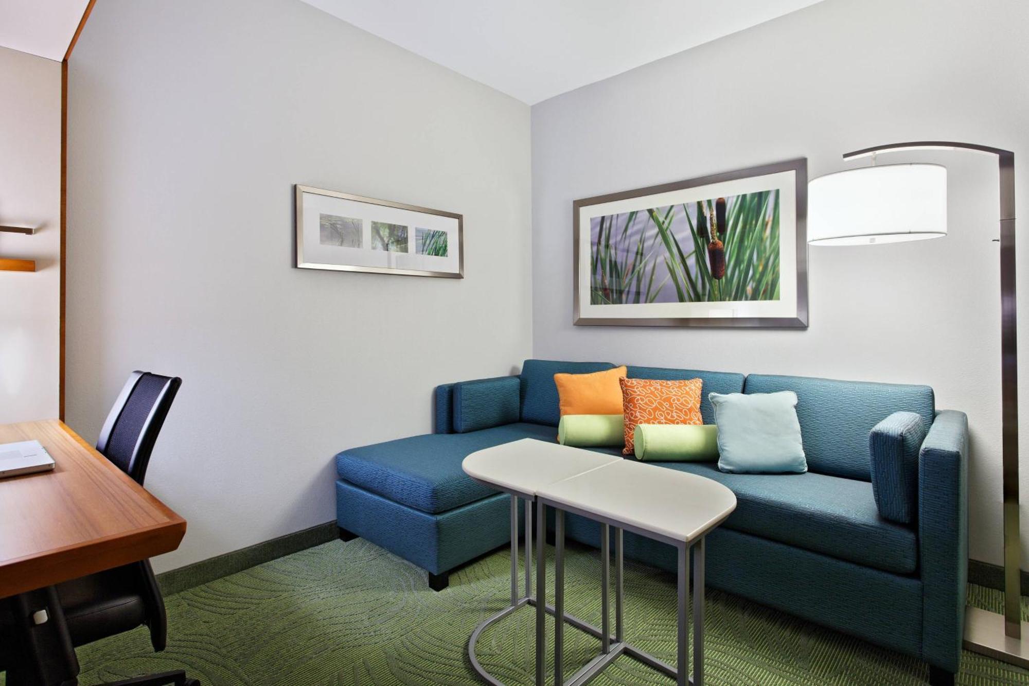 King Suite with Trundle Sofa
