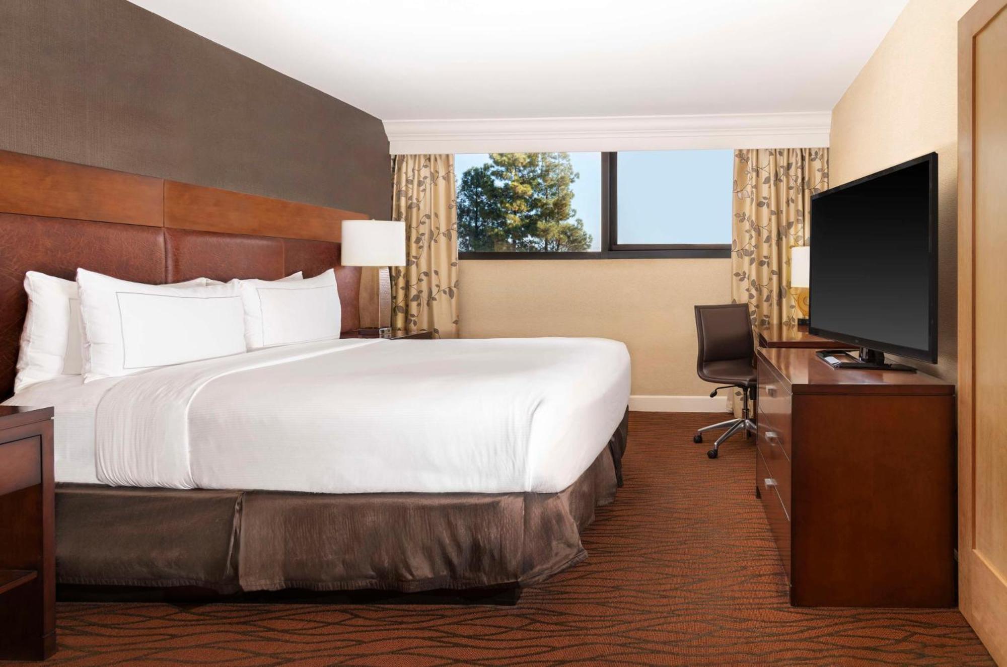 King Suite,1639557179:JPEG