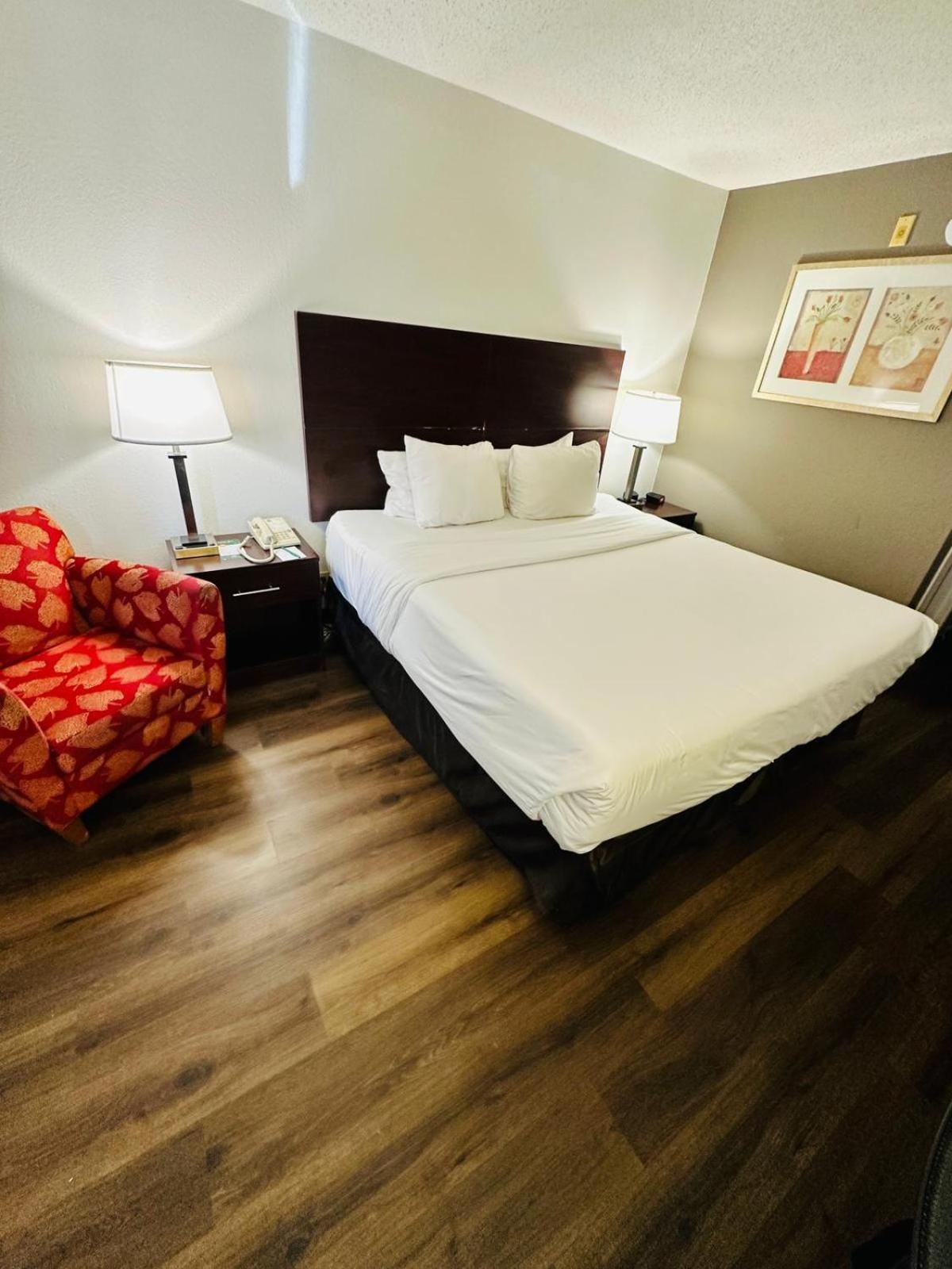 King Room,1654269110:JPEG