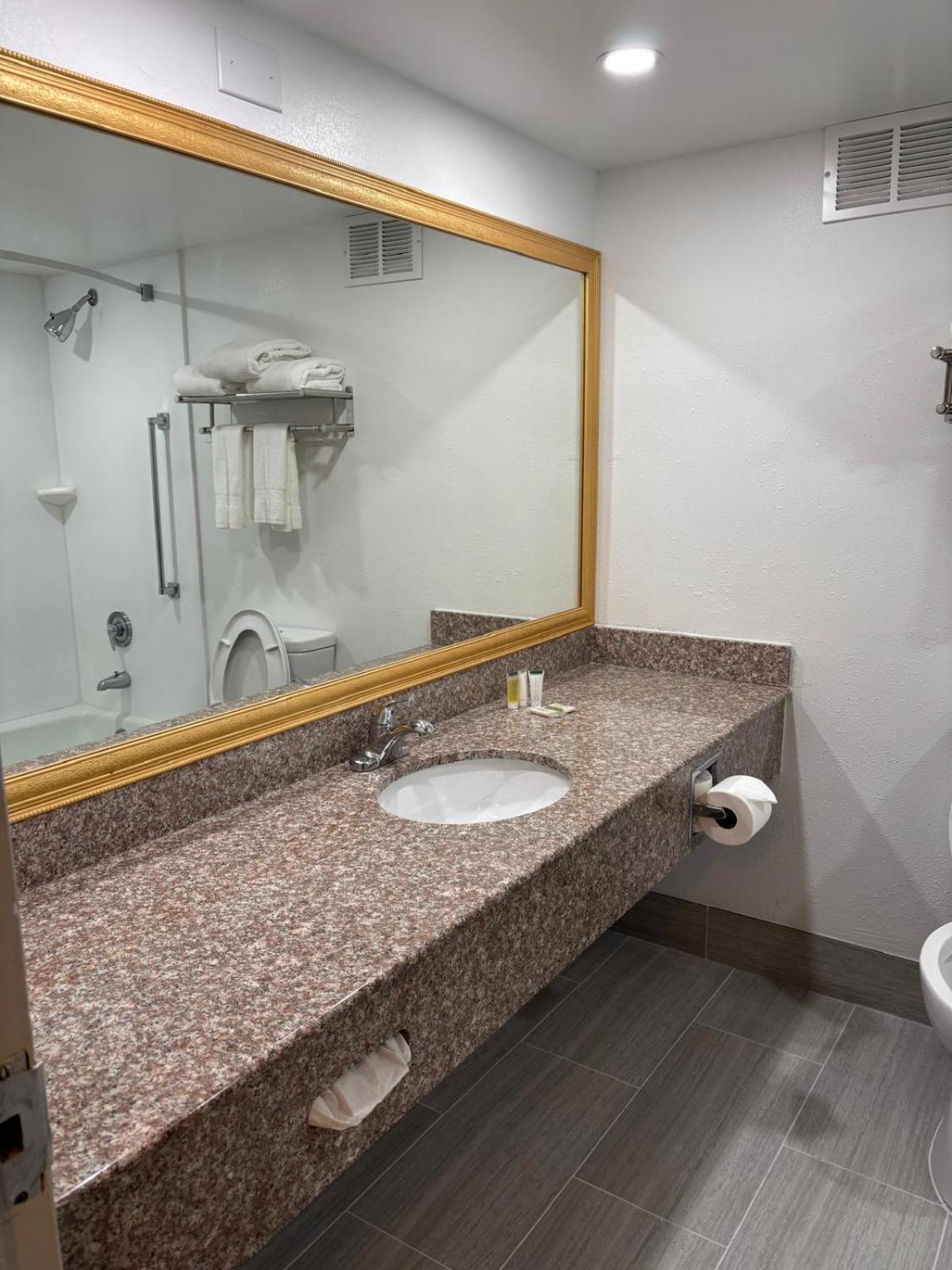 King Room with Bath Tub - Mobility Accessible/Non-Smoking