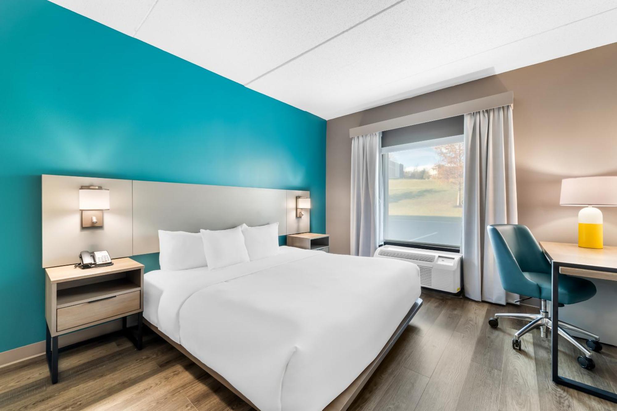 One Room Suite with Sofa bed - Non Smoking