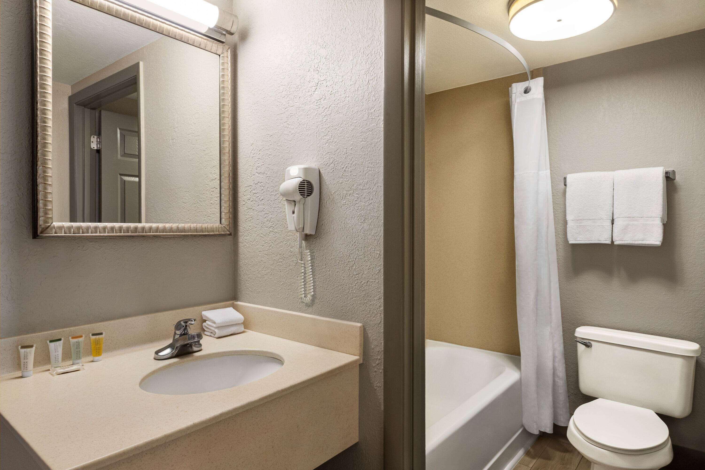 Two Queen Beds – Pet Friendly or Non-Smoking,1498547545:JPEG