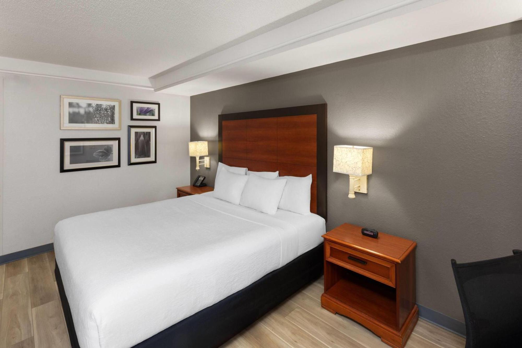 Deluxe King Room,1730065333:JPEG