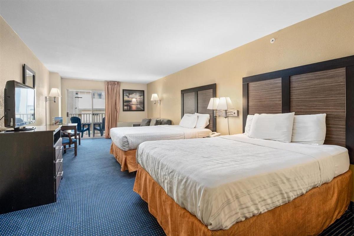 Standard View Room 2 Queens and Sofa-Pet Friendly