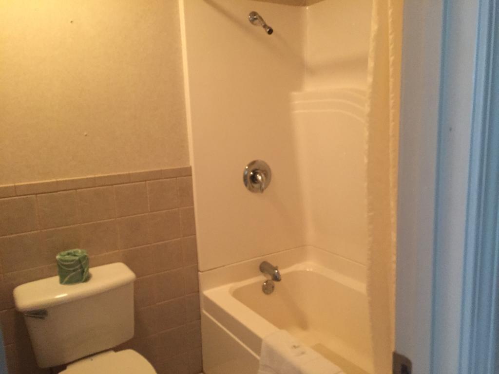 Standard Double Room with Two Double Beds,174112320:JPEG