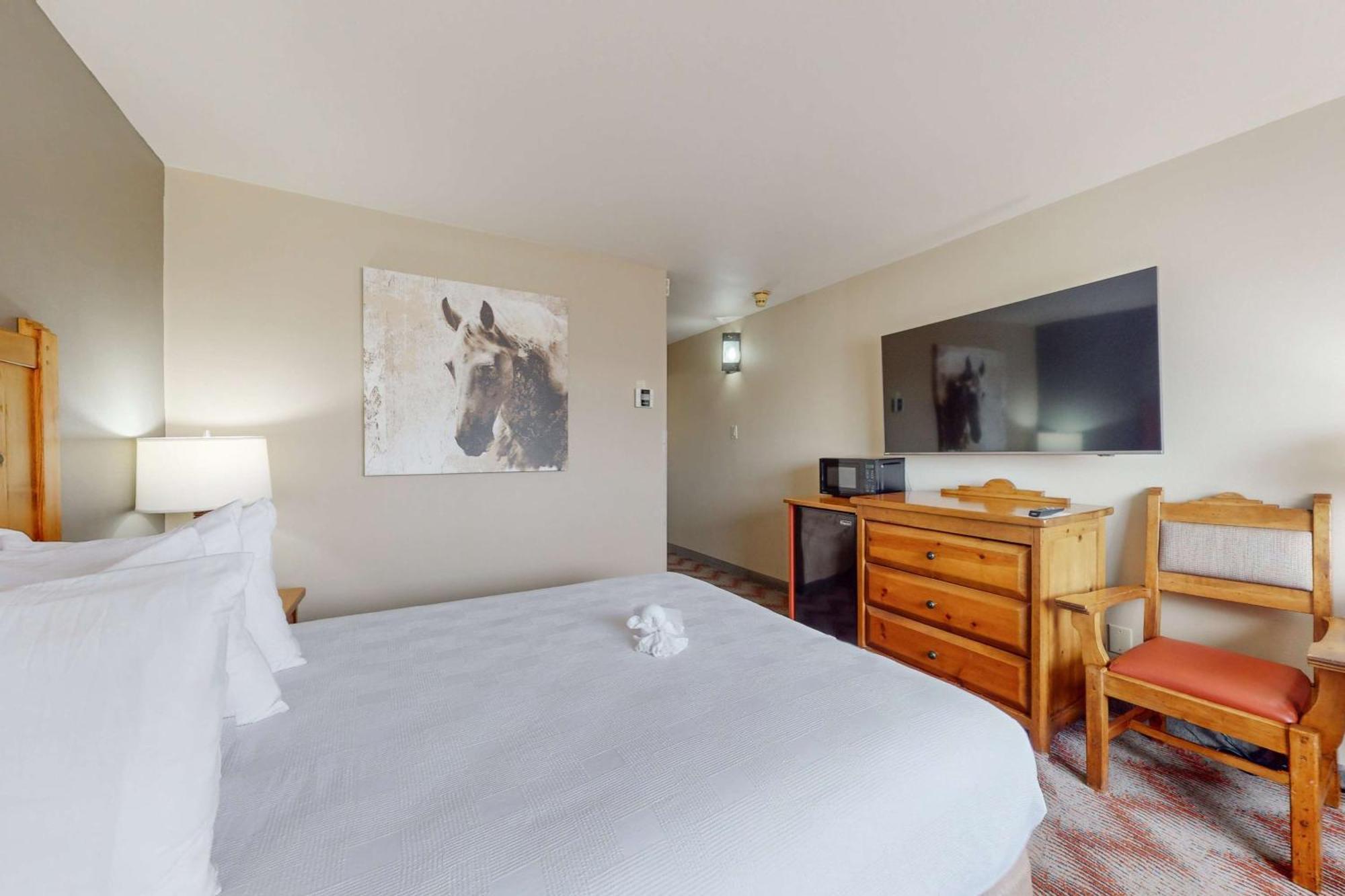 King Room with Shower Only - Pet Friendly/Non-Smoking