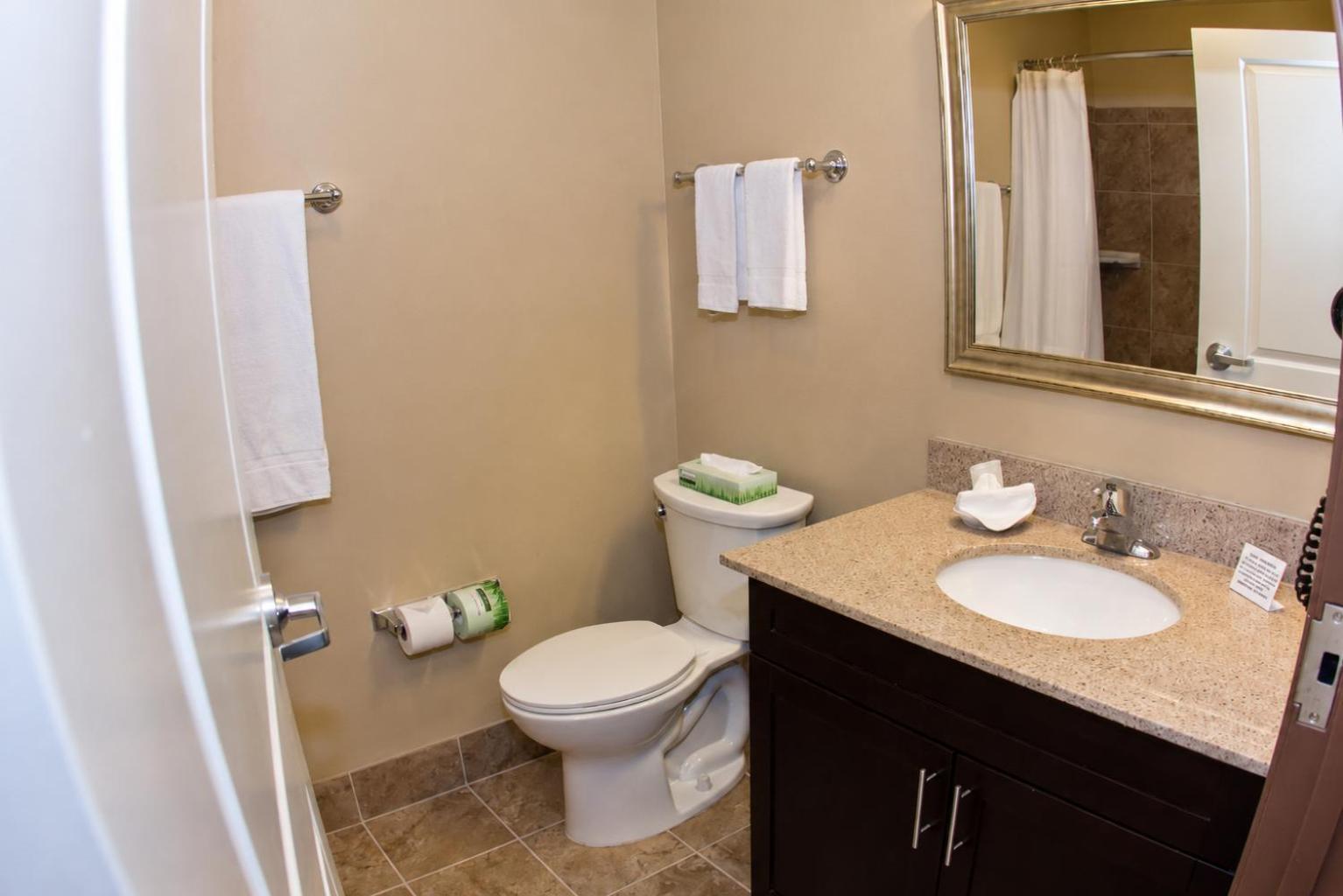 Efficiency Queen Suite - Accessible/Non-Smoking
