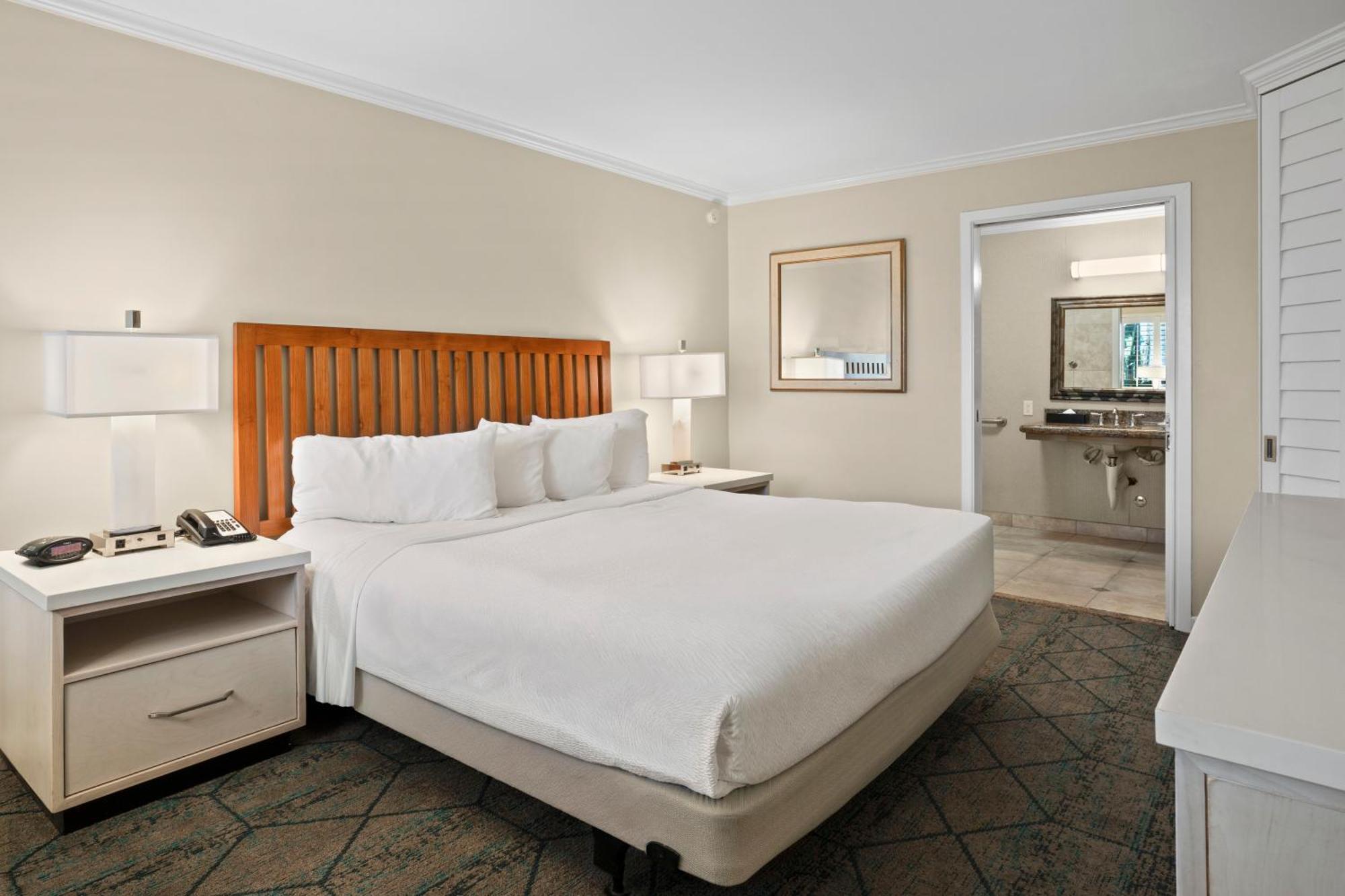 Standard Room, 1 King Bed, Accessible