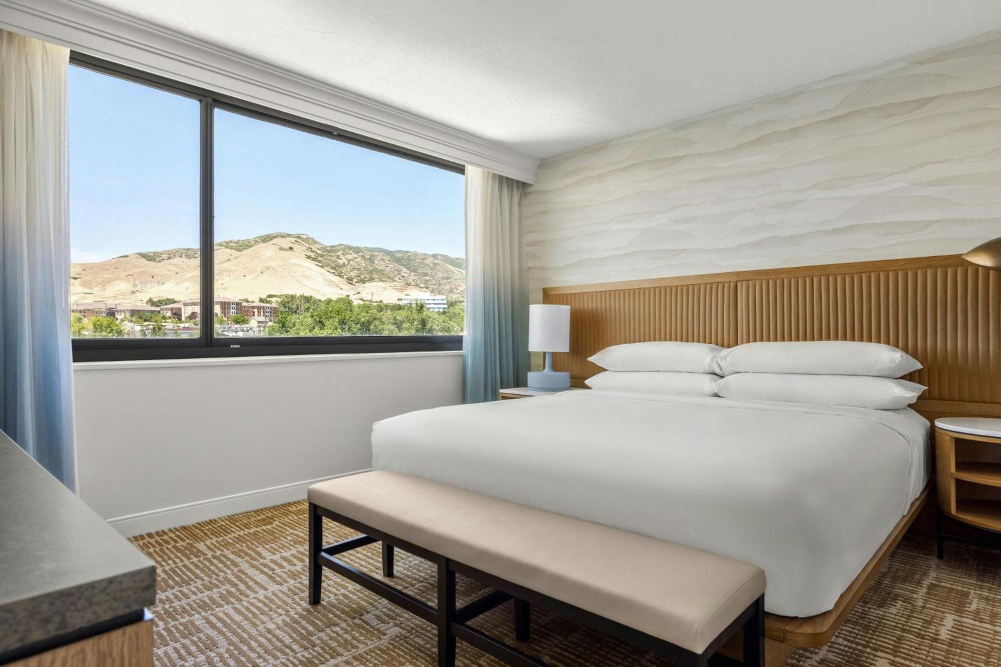One-Bedroom King Suite with Sofa Bed