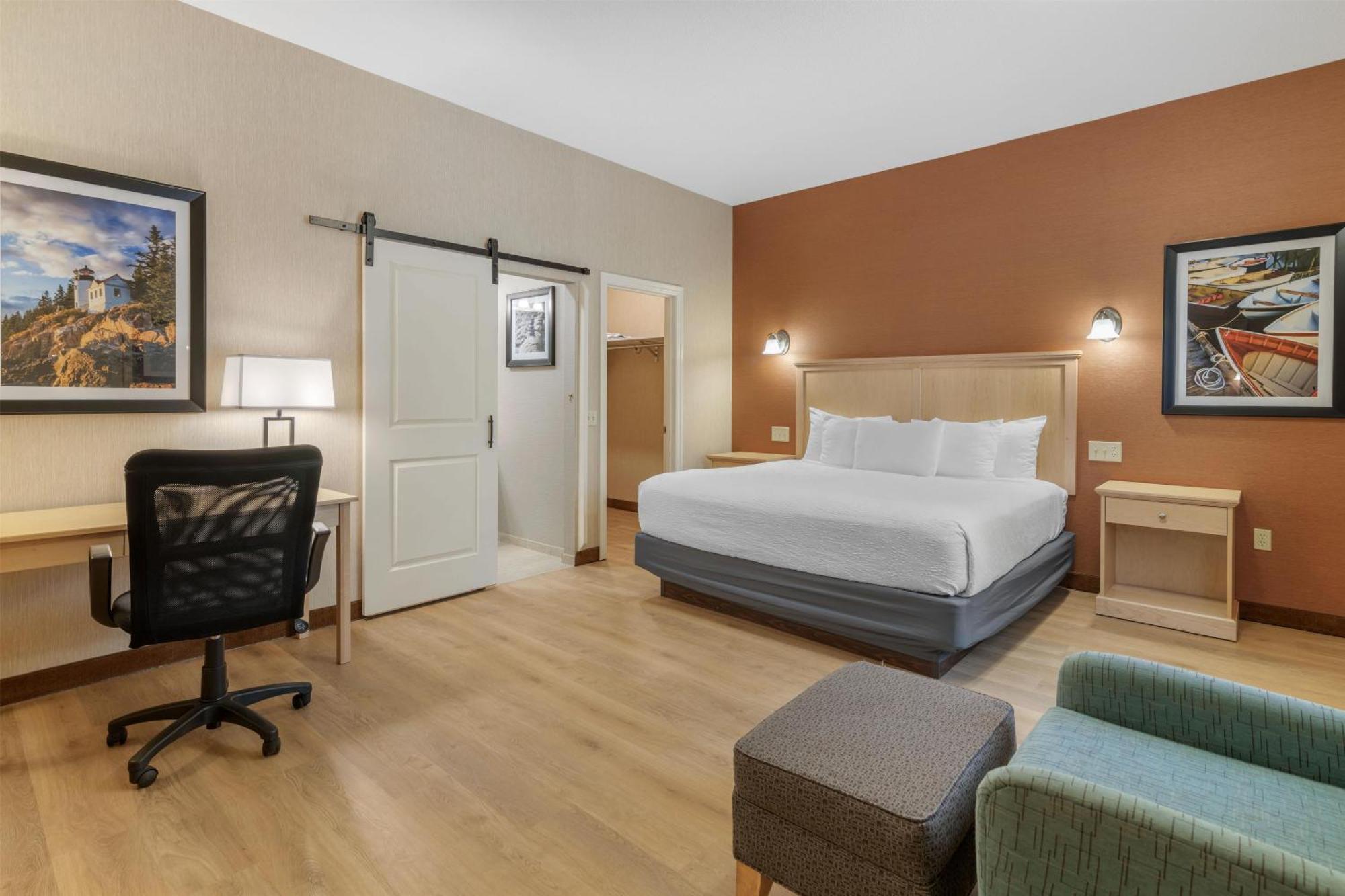 King Room - Pet Friendly/Non-Smoking