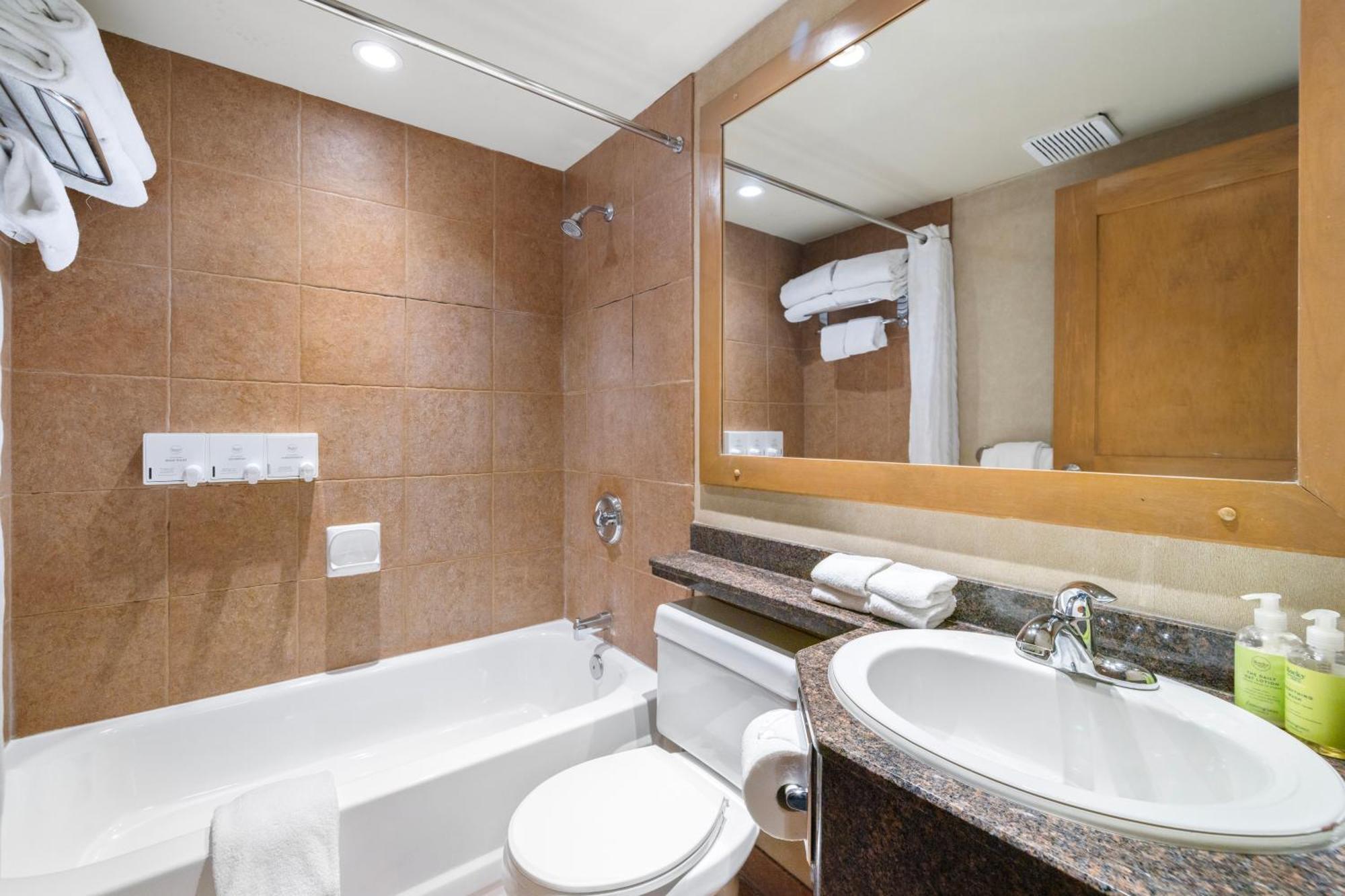 Deluxe One-Bedroom Apartment - Loft 3 Queens