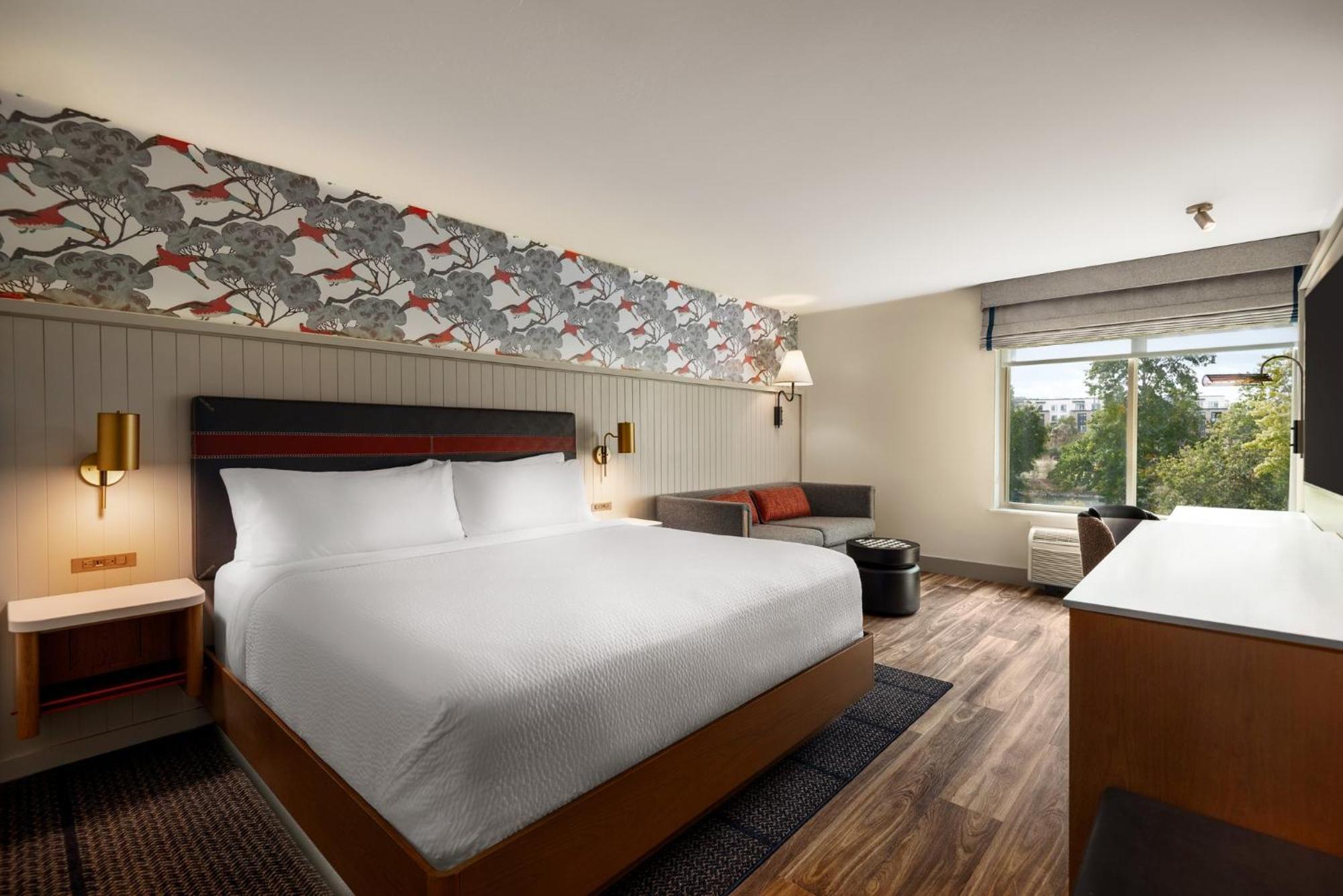 Standard King Room with Sofa Bed and Communications Accessible Tub