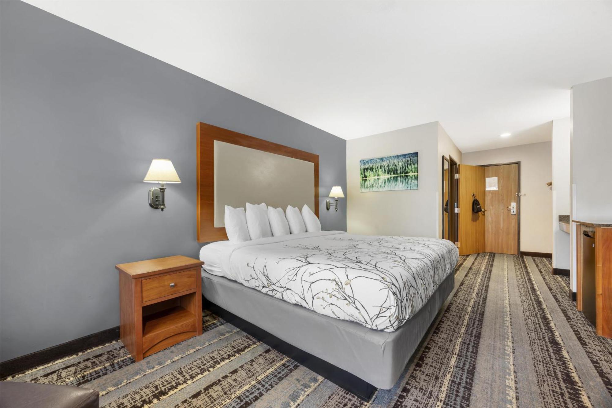 King Room with Roll-In Shower - Mobility Access