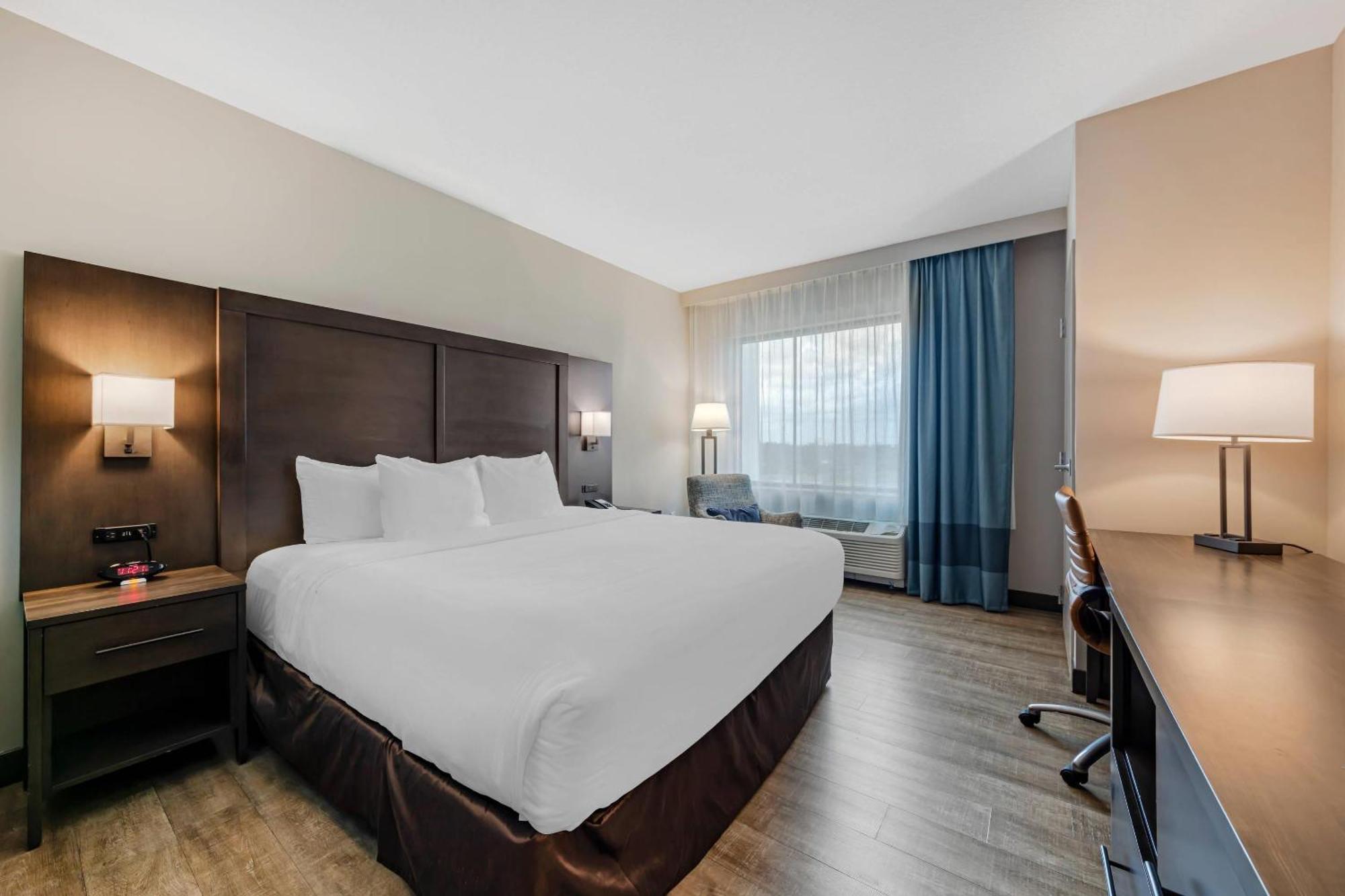 King Room - Non-Smoking
