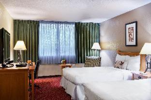 Standard Double Room with Two Double Beds
