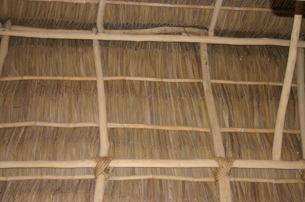 Superior Suite,934166593:JPEG