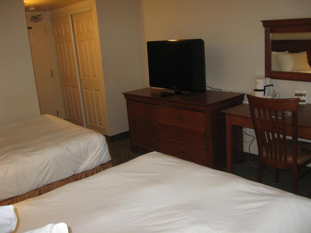 Double Room with Two Double Beds - Non-Smoking,60861637:JPEG