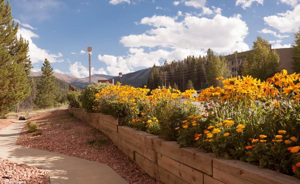 King Room,61871914:JPEG