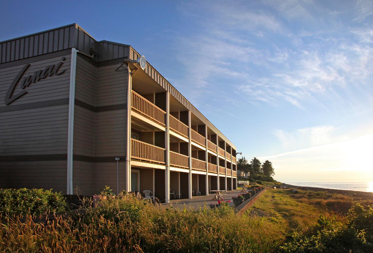 Queen Studio - Ocean Front - No Pets Allowed,620129565:JPEG