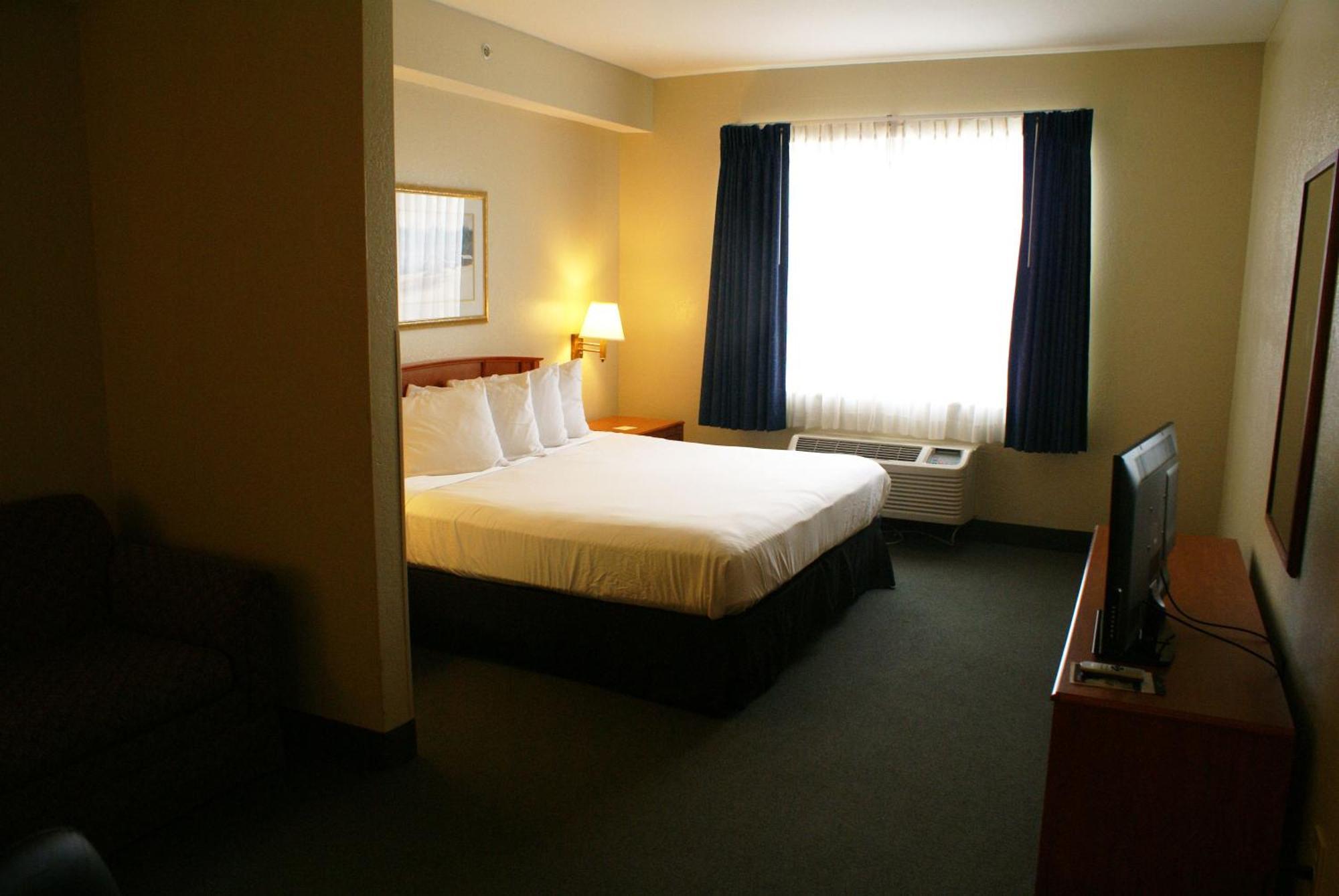 King Studio with Sofa Bed - Disability Access,700787104:JPEG